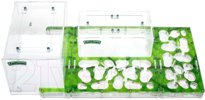 Муравьиная ферма AntHouse Bio Plus XL стартовый комплект (Green)
