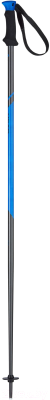 Горнолыжные палки Head Multi S / 381549 (anthracite/neon blue, р.125)