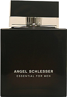 Туалетная вода Angel Schlesser Essential Men (100мл) - 