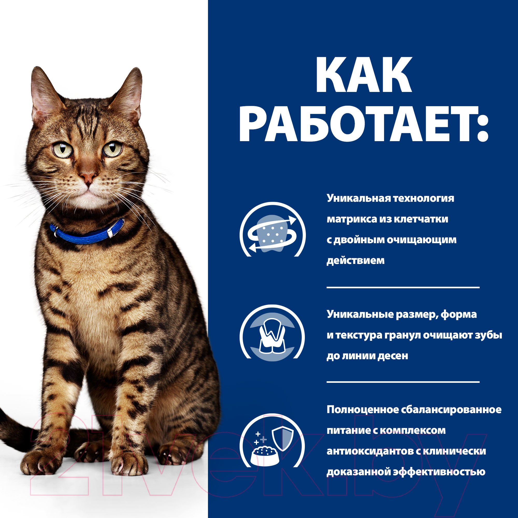 Сухой корм для кошек Hill's Prescription Diet Dental Care t/d Chicken