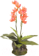 Декорация для террариума Lucky Reptile Orchid red / IF-15 - 