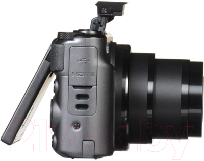 Компактный фотоаппарат Canon PowerShot SX730HS / 1791C002 (черный)