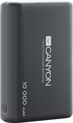 Портативное зарядное устройство Canyon CNS-CPBP10B (черный)