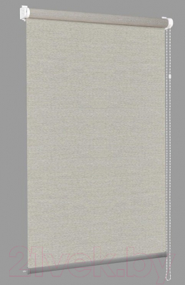 Рулонная штора Delfa Сантайм Премиум Pontos СРШ-01МП 322701 (48x170, грэй)