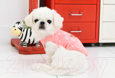 Изображение товара Футболка для животных Puppia Simon / PASA-TS1602-IP-M (розовый)