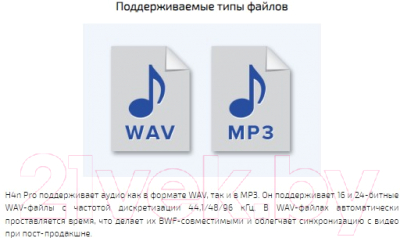 Цифровой диктофон ZOOM H4nPro (черный)