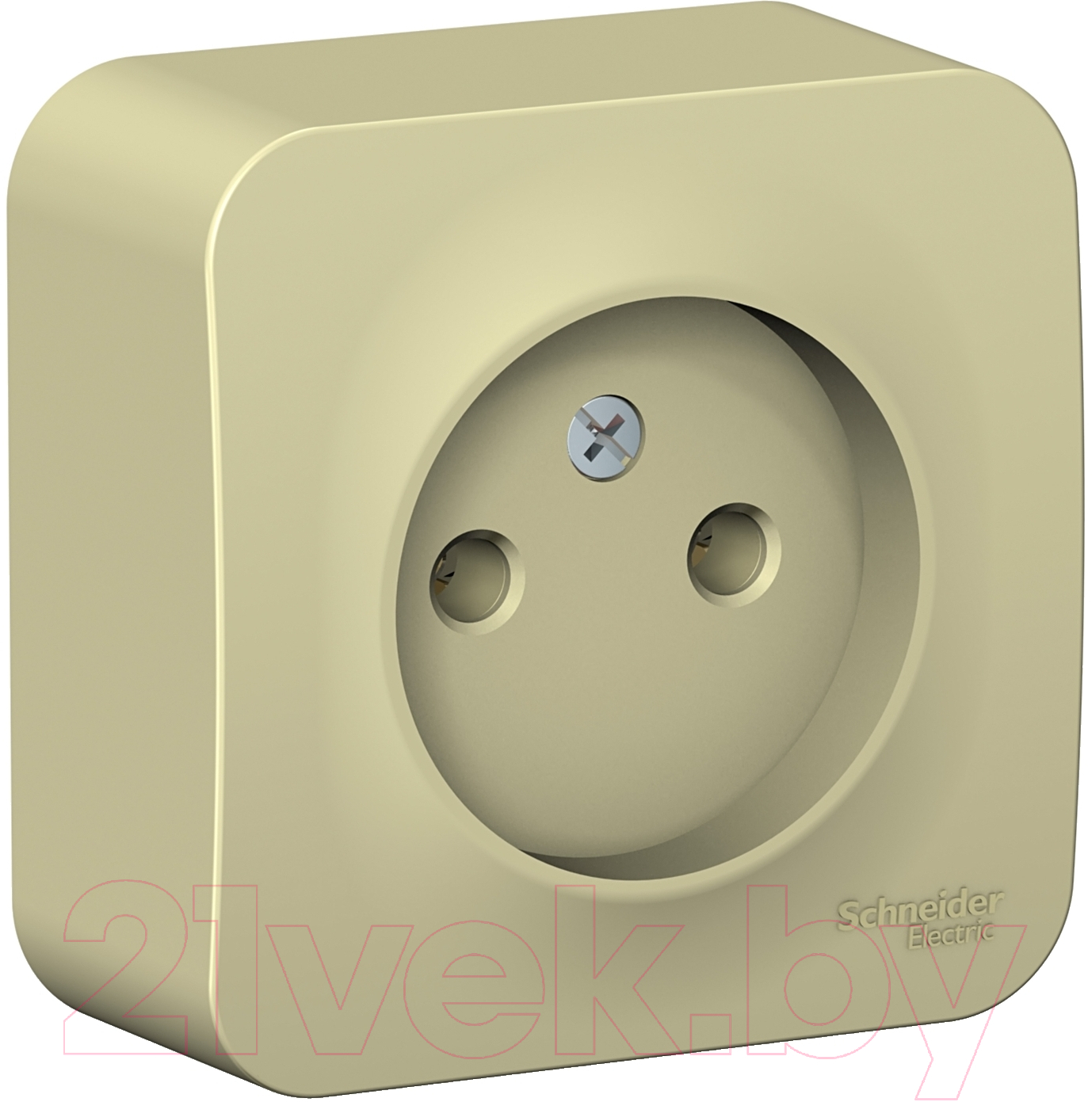 Розетка Systeme (Schneider) Electric Blanca BLNRA000117