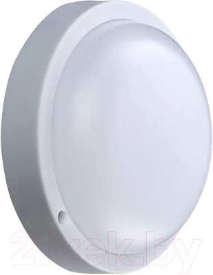 

Светильник ЖКХ Truenergy, 8W 6000К IP54 11104