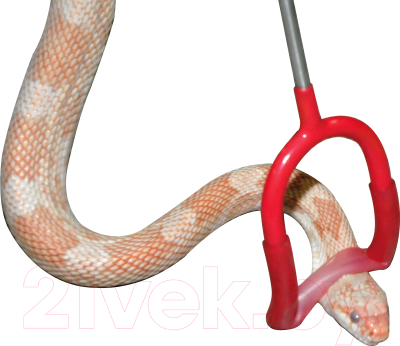 Крюк для рептилий Lucky Reptile Snake Pin Hook LHP-60