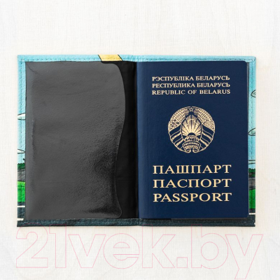 Обложка на паспорт Vokladki Самолёт / 11022