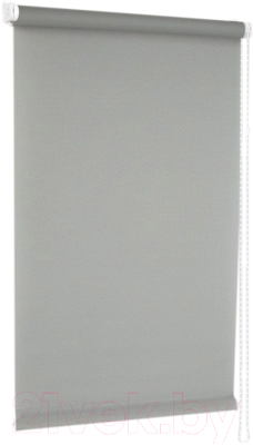 Рулонная штора Delfa Сантайм Роял СРШ-01М 2816 (48x170, серый)