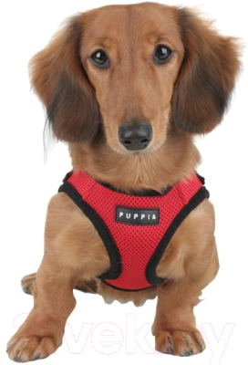 Шлея-жилетка для животных Puppia Soft Vest / PAHA-AH305-RD-XL (красный)