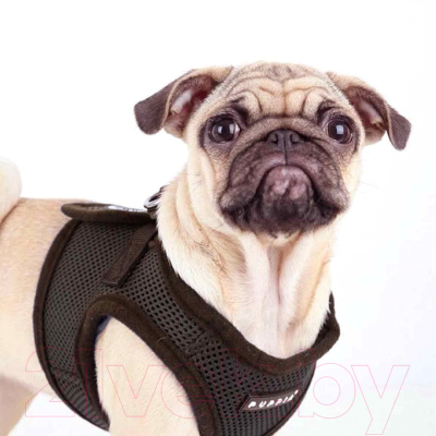 Шлея-жилетка для животных Puppia Soft Vest / PAHA-AH305-BK-M (черный)