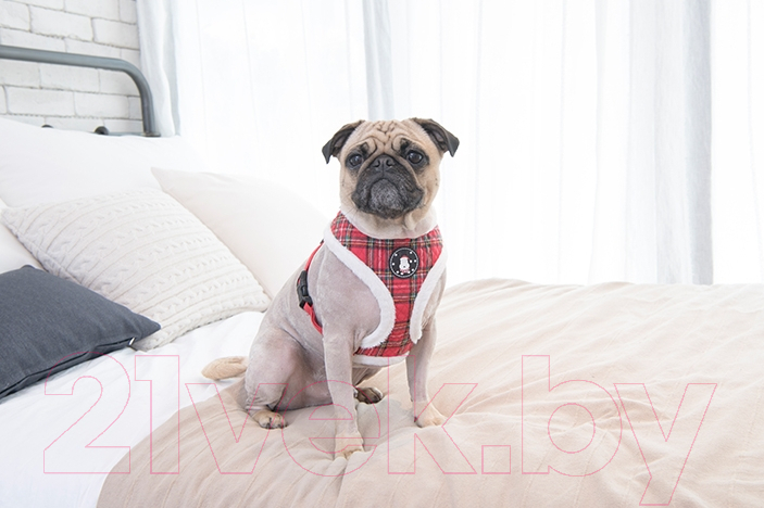 Шлея-жилетка для животных Puppia Blitzen-A / PAQD-AC1470-CR-XL (красный/клетка) — фото 3