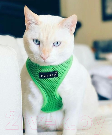 Шлея-жилетка для животных Puppia Soft Vest / PAHA-AH305-GR-XS (зеленый) — фото 2