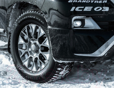 Зимняя шина Dunlop Grandtrek Ice 03 215/60R17 100T (шипы)