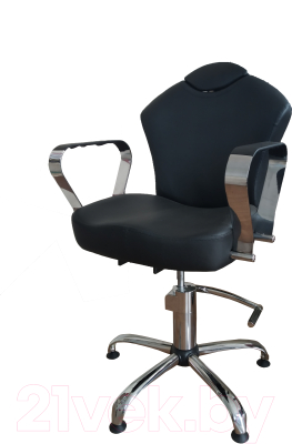 Кресло парикмахерское Kuasit Ku 210/h (черный)