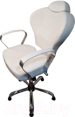 Кресло парикмахерское Kuasit Ku 230/h (белый)