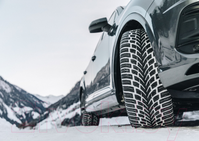 Зимняя шина Nokian Tyres WR SUV 4 225/70R16 107H