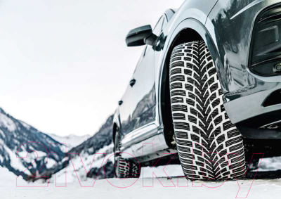 Зимняя шина Nokian Tyres WR SUV 4 255/65R17 114H