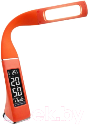 Настольная лампа Elektrostandard Elara TL90220 (оранжевый)