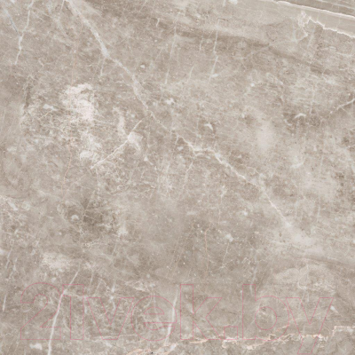 Плитка ProGres Магма GSR0122 (600x600, серый)