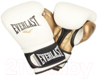 Боксерские перчатки Everlast D103E 6oz (белый)