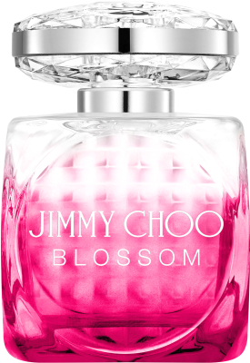Парфюмерная вода Jimmy Choo Blossom (100мл)