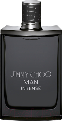 Туалетная вода Jimmy Choo Man Intense (100мл)
