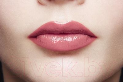 Жидкая помада для губ L'Oreal Paris Infaillible Lip Paint 102 (леди в розовом)