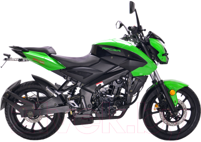 Мотоцикл Racer Flash RC250-GY8X (зеленый)