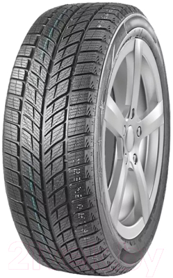 Изображение товара Зимняя шина DoubleStar DW09 235/50R19 99H