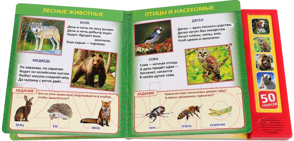 Музыкальная книга Умка 50 голосов природы — фото 5