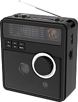Радиоприемник Ritmix RPR-210 (черный) - 