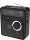 Миниатюра изображения товара Радиоприемник Ritmix RPR-210 (черный)