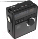 Миниатюра изображения товара Радиоприемник Ritmix RPR-210 (черный)