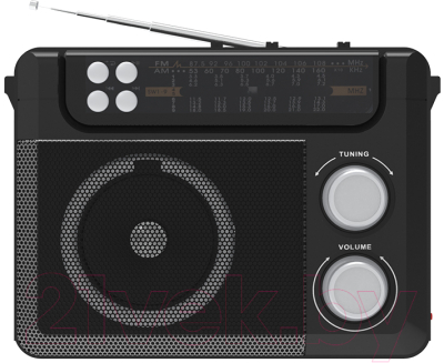 Радиоприемник Ritmix RPR-200 (черный)