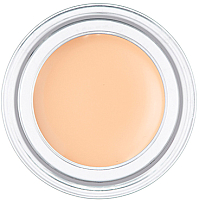 

Пигмент для век Maybelline New York, Color Tattoo 93