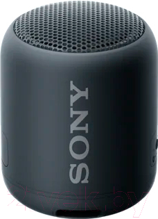 Портативная колонка Sony SRS-XB12B