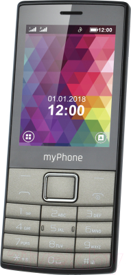 Мобильный телефон MyPhone 7300 (черный)