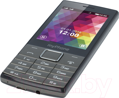 Мобильный телефон MyPhone 7300 (черный)