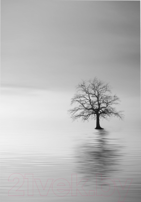 Картина GenArt Одинокое дерево 307 (30x40)