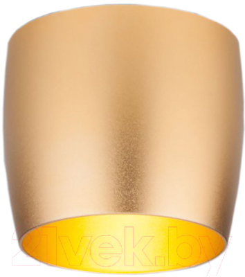 

Точечный светильник Elektrostandard, 6074 MR16 GD