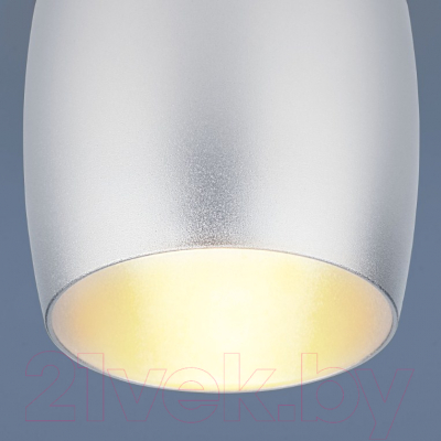 Точечный светильник Elektrostandard 6074 MR16 SL (серебристый)