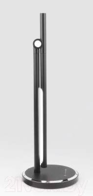 Настольная лампа Elektrostandard Vara TL70990 (черный)