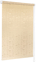 Рулонная штора Delfa Сантайм Жаккард Азия СРШ-01М 25101 (115x170, бежевый) - 