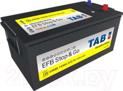 Автомобильный аккумулятор TAB Truck EFB Stop&Go L / 455612 (240 А/ч)
