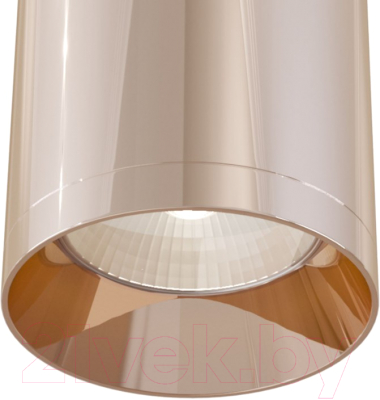 Потолочный светильник Maytoni Alfa C010CL-01RG
