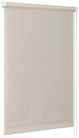 Рулонная штора Delfa Сантайм Натур СРШ-01М 2288 (48x170, светло-бежевый) - 