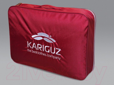 Подушка для сна Kariguz Фортуна / ФТ10-3 (50x68)